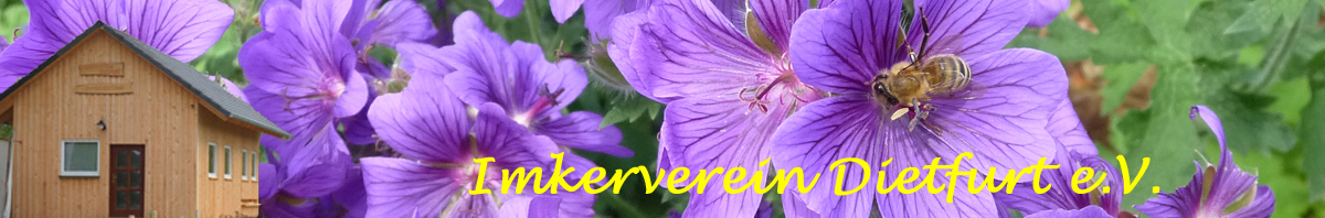 Titelbild-eV Titelbild-eV